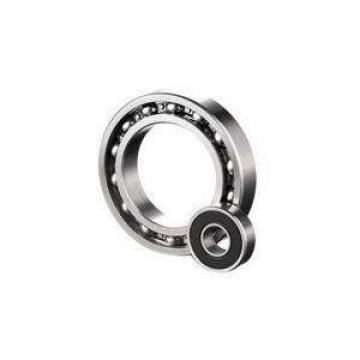NU228 W NSK Cylindrical Roller Bearing